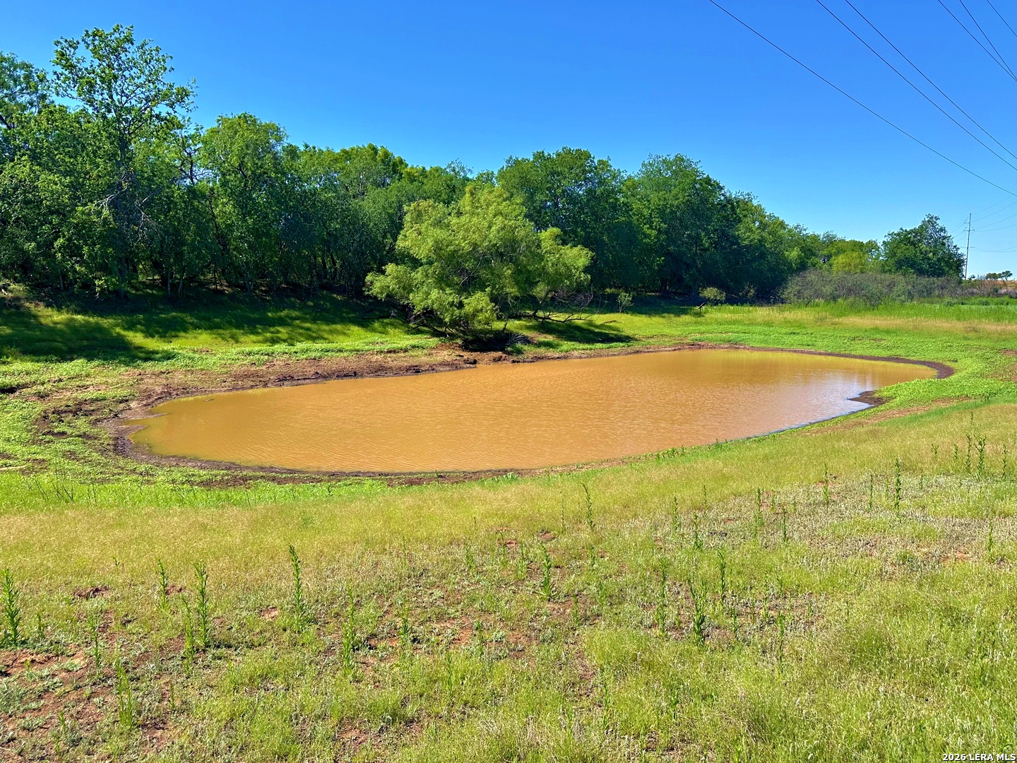 3265 Highway 97 Jourdanton TX 78026