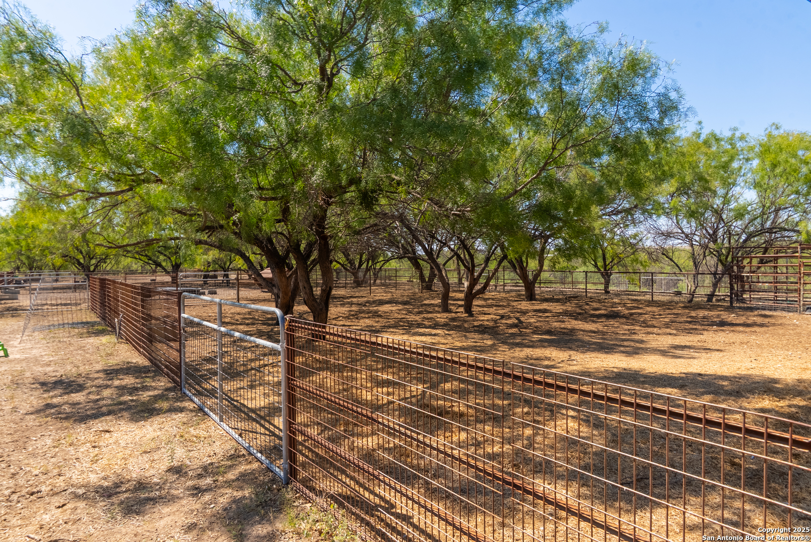 2133 Lausen Del Rio TX 78840