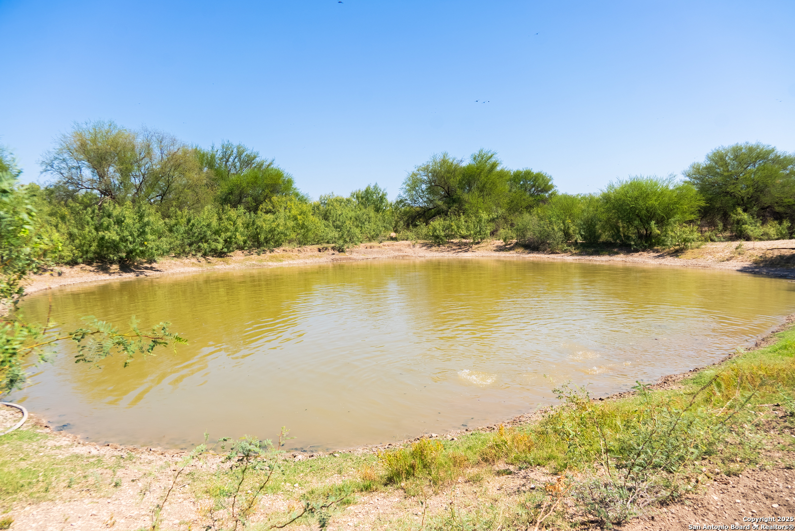 2133 Lausen Del Rio TX 78840