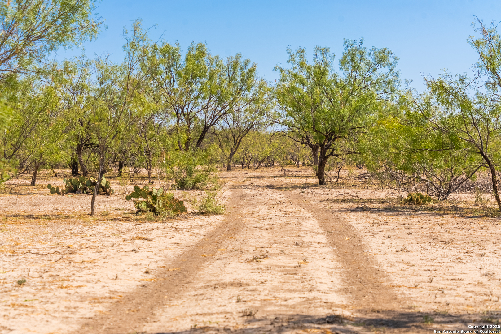 2133 Lausen Del Rio TX 78840