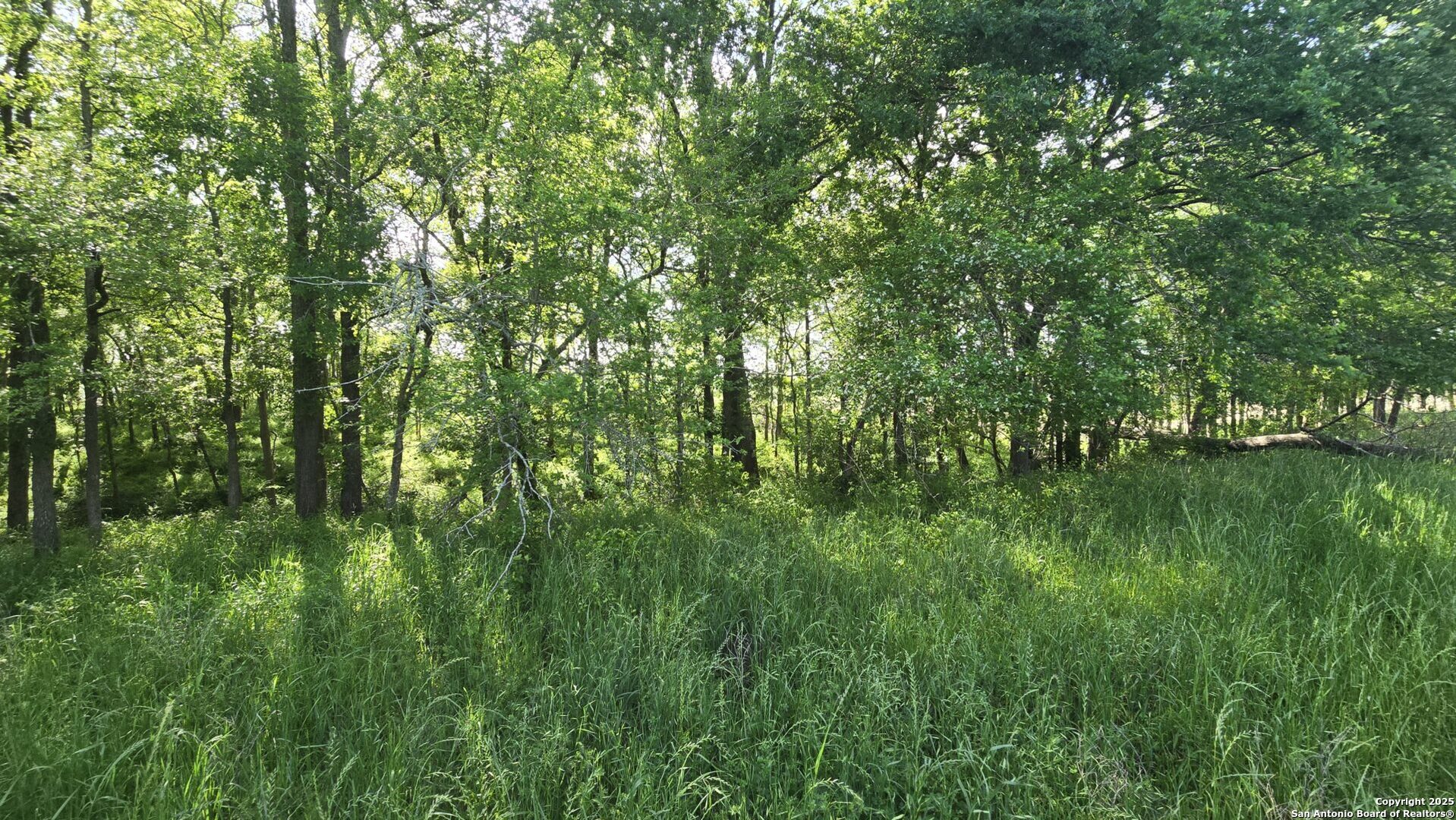 3780 Co Road 257 Egypt TX 77488