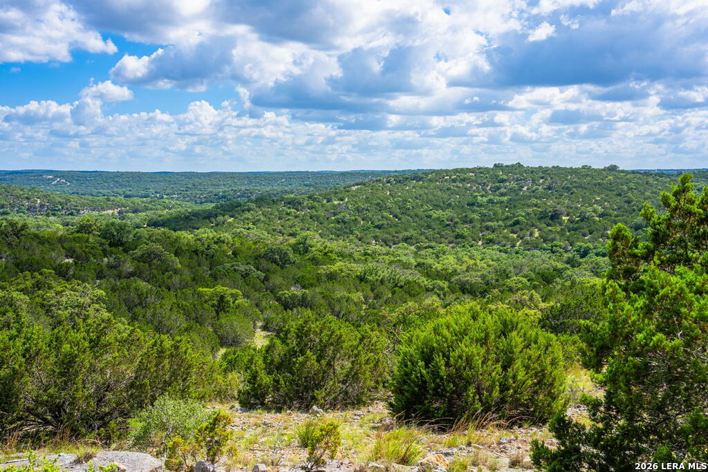 11797 Hackberry Road Rocksprings TX 78880
