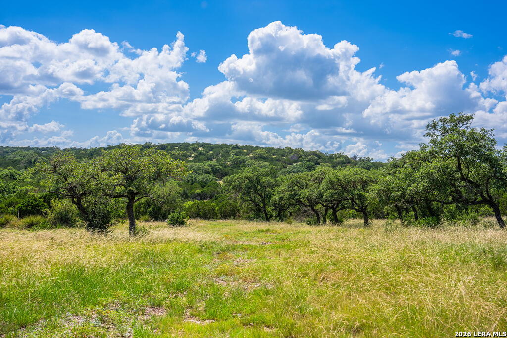 11797 Hackberry Road Rocksprings TX 78880