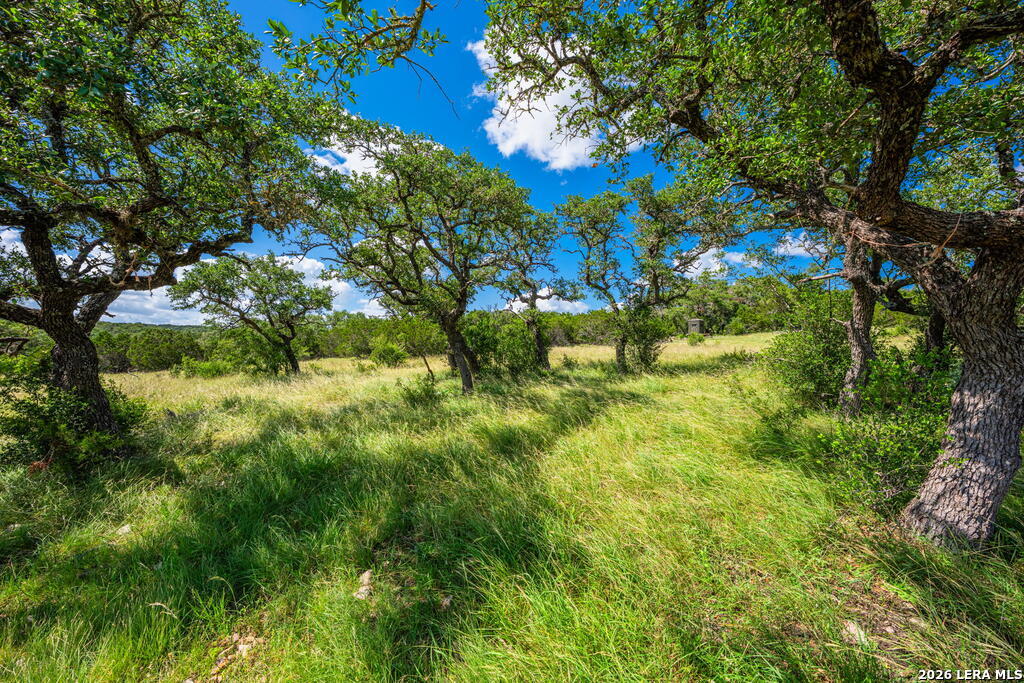 11797 Hackberry Road Rocksprings TX 78880