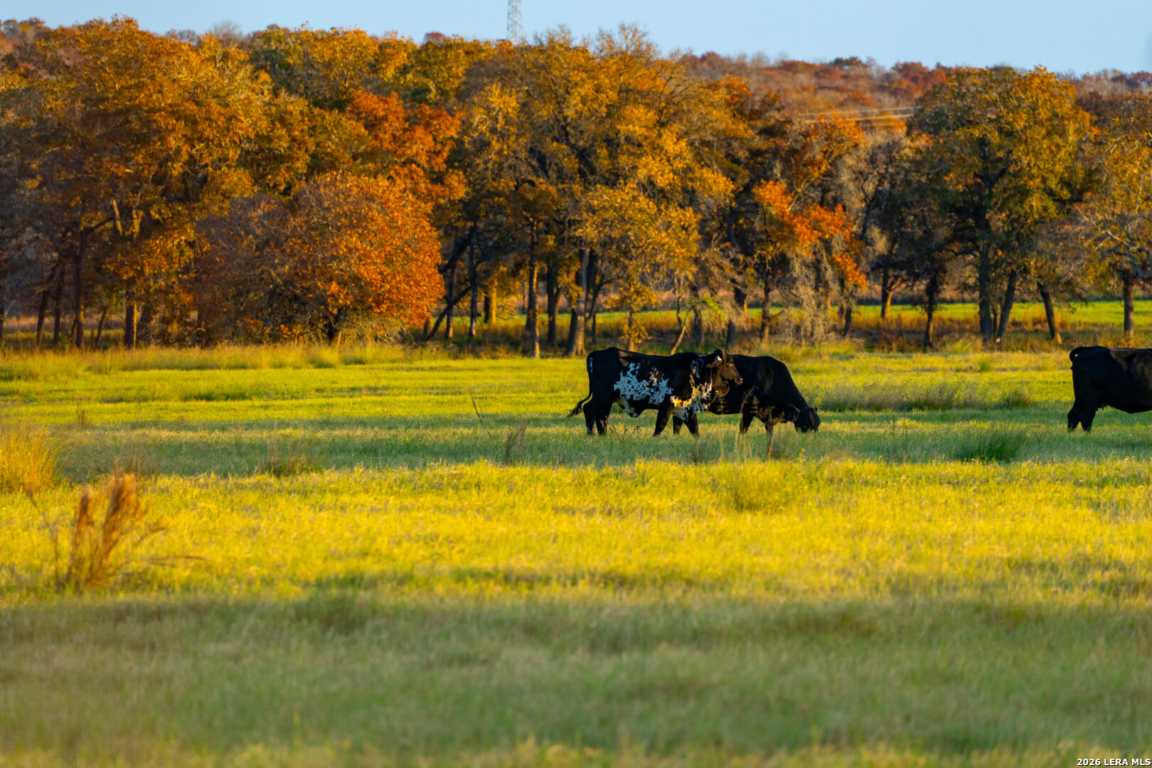 Tbd S State Highway 123 Seguin TX 78155