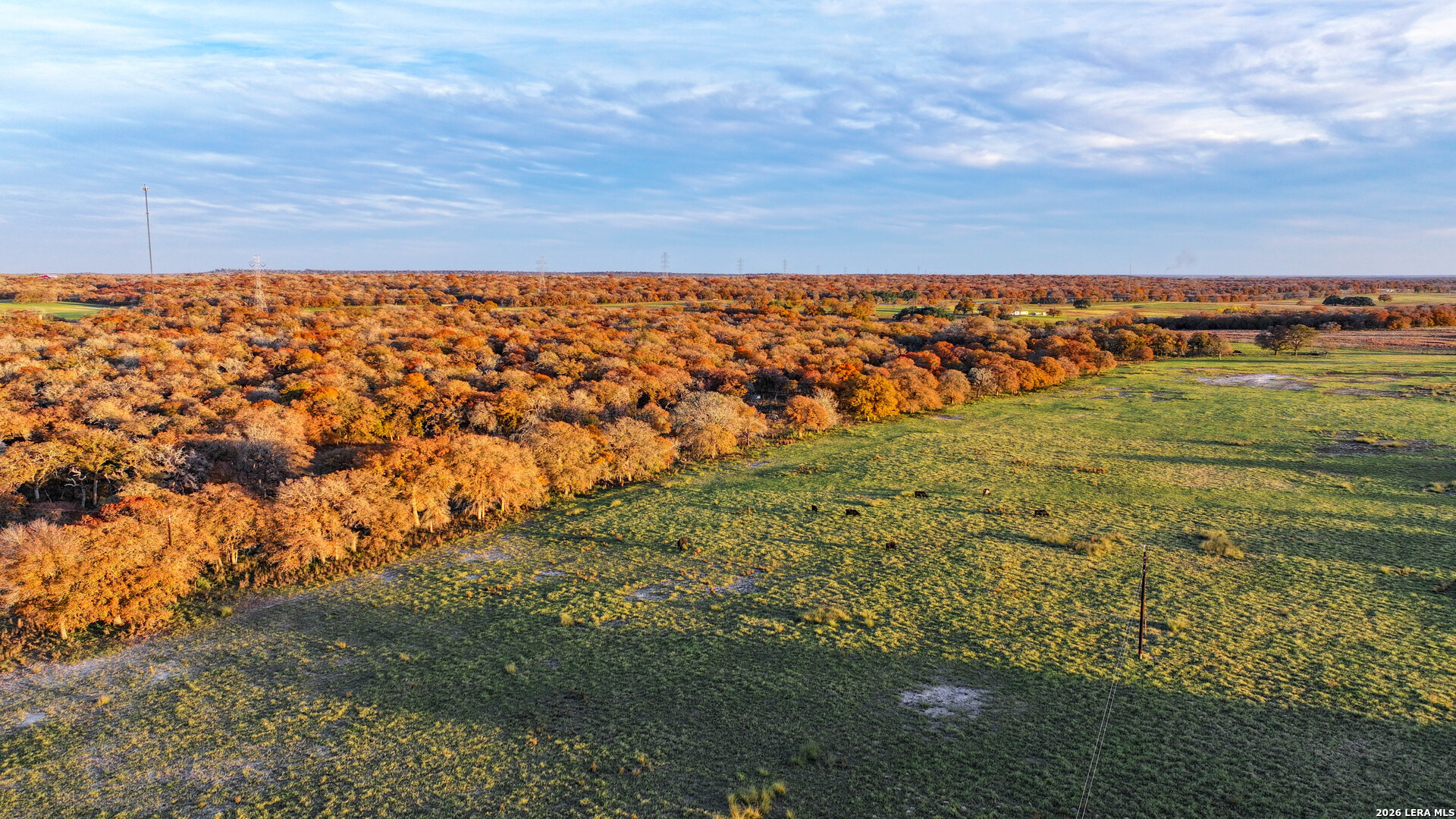 Tbd S State Highway 123 Seguin TX 78155