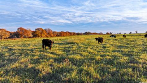 Tbd S State Highway 123 Seguin TX 78155