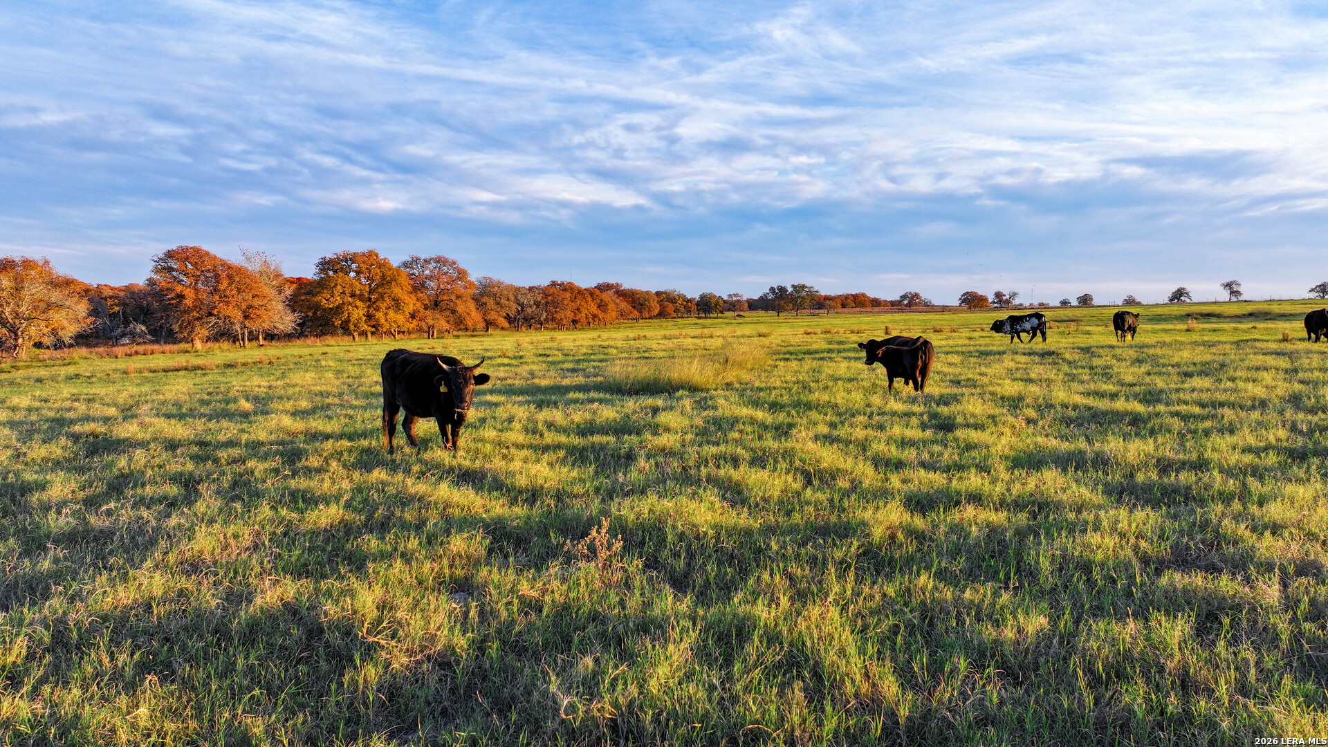 Tbd S State Highway 123 Seguin TX 78155