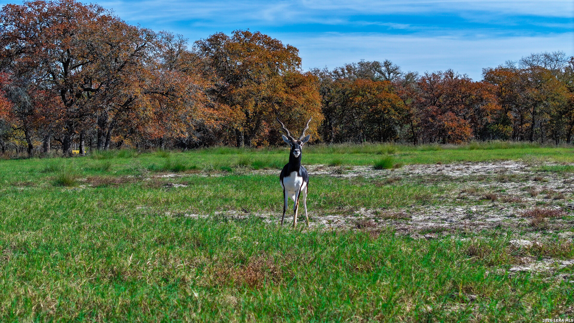 Tbd S State Highway 123 Seguin TX 78155