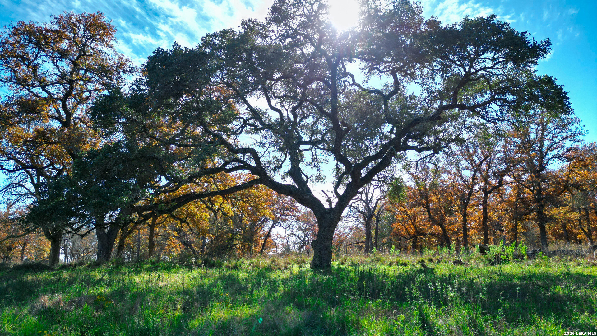 Tbd S State Highway 123 Seguin TX 78155
