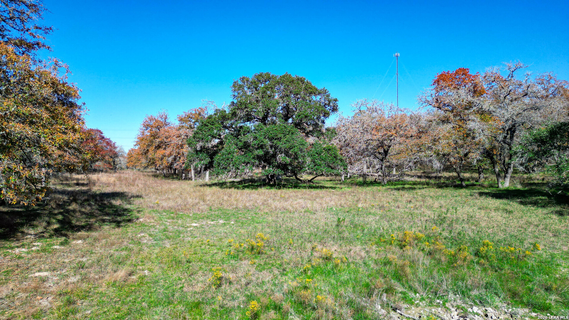 Tbd S State Highway 123 Seguin TX 78155