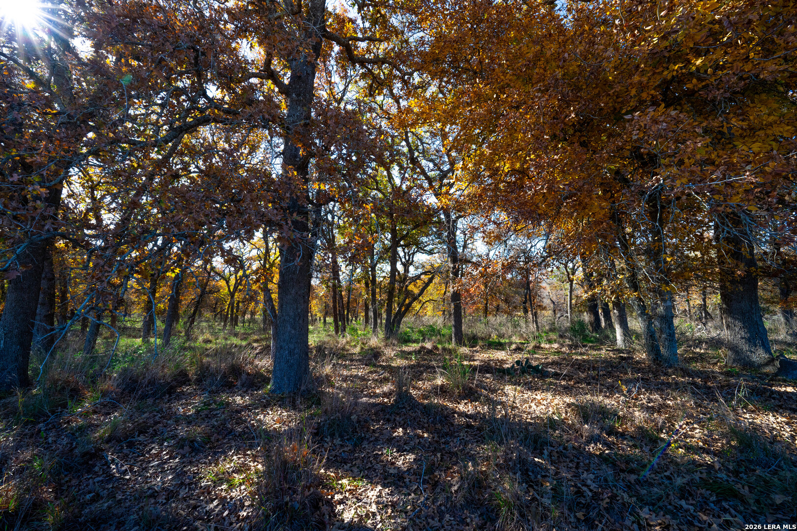 Tbd S State Highway 123 Seguin TX 78155
