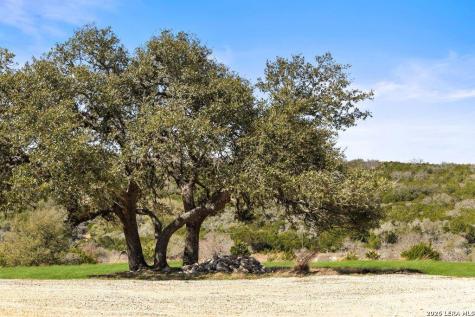 158 Watch Hill Stonewall TX 78671
