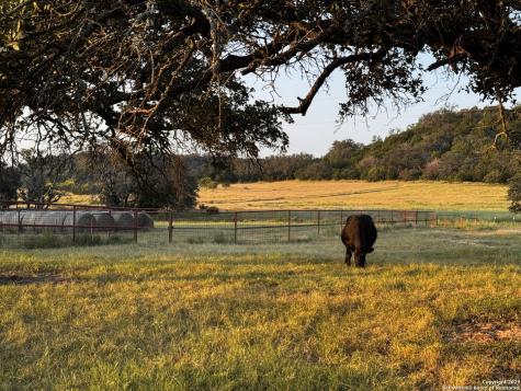 11889 Home Place Mason TX 76856