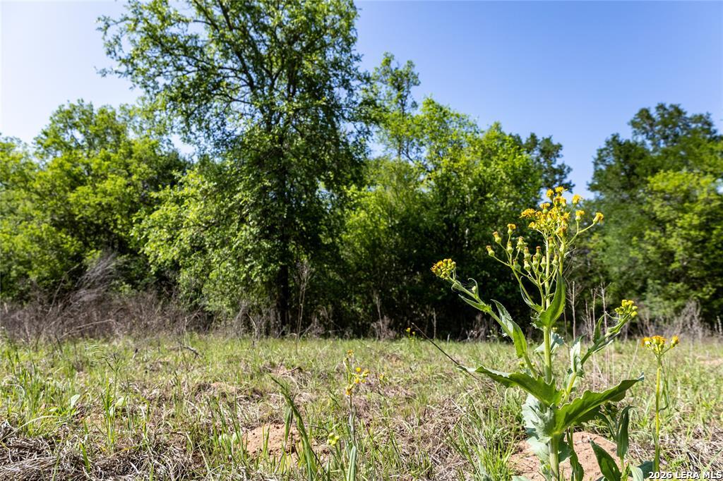 2990 Fm 467 Seguin TX 78155