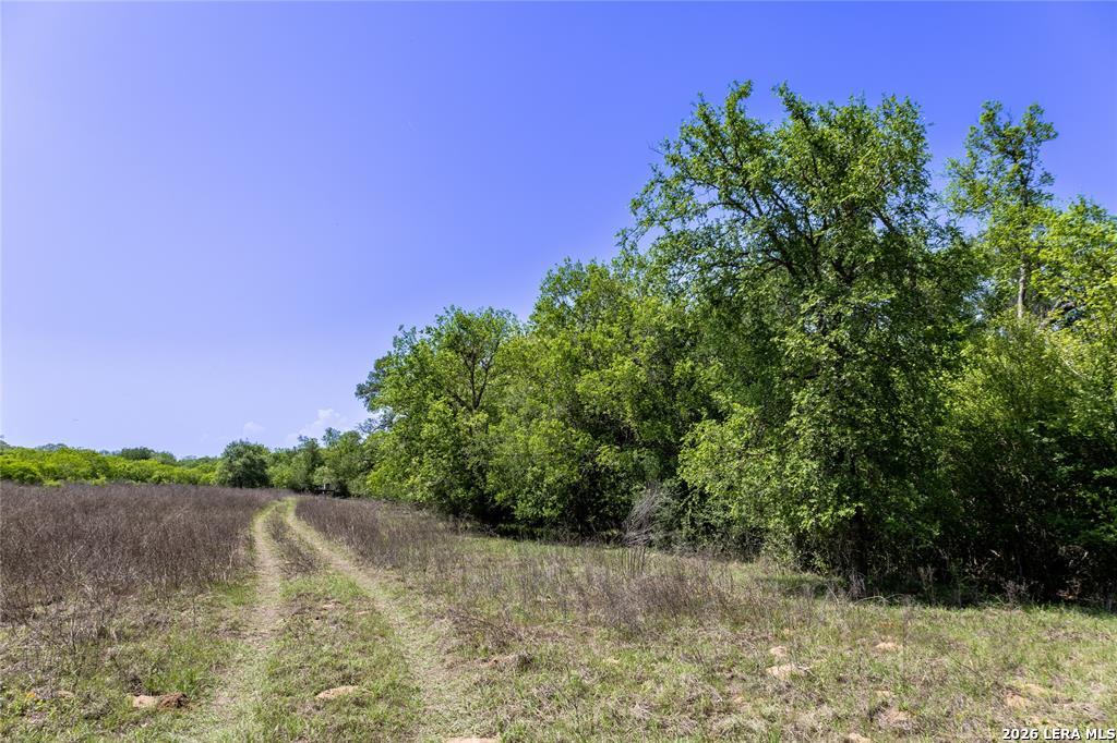 2990 Fm 467 Seguin TX 78155