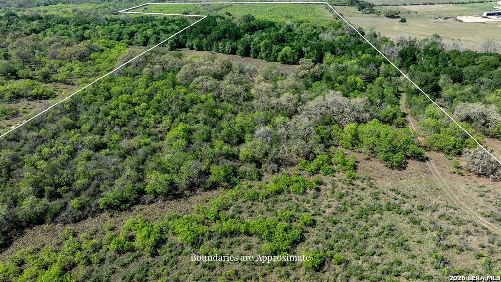2990 Fm 467 Seguin TX 78155
