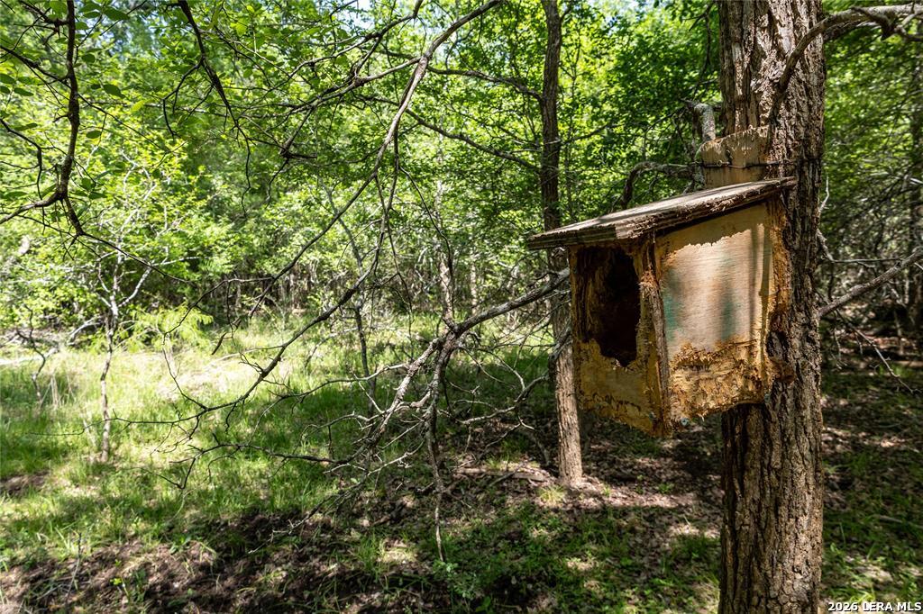 2990 Fm 467 Seguin TX 78155
