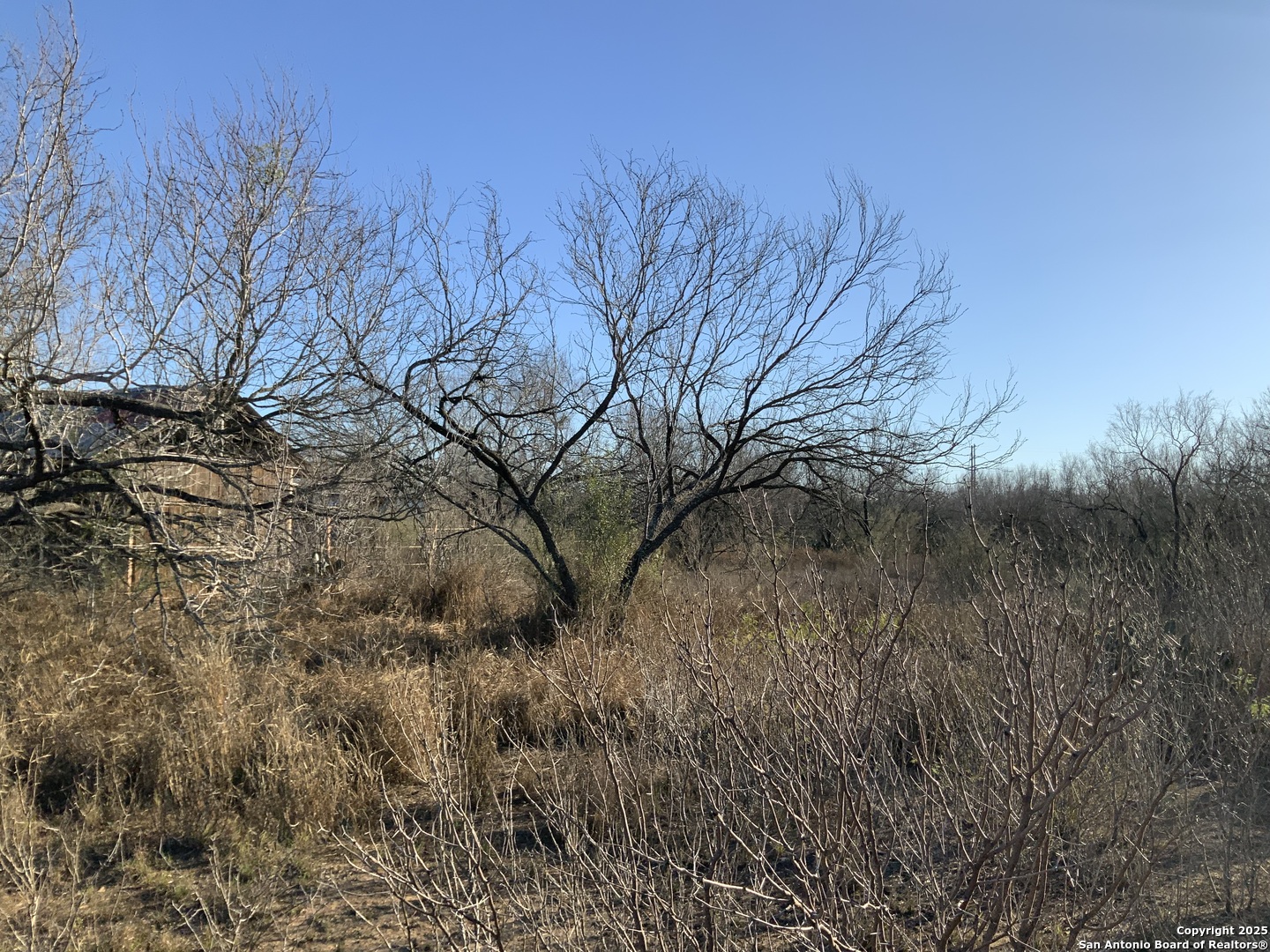 SV-49 Lot 2 Fm 1333 Poteet TX 78065