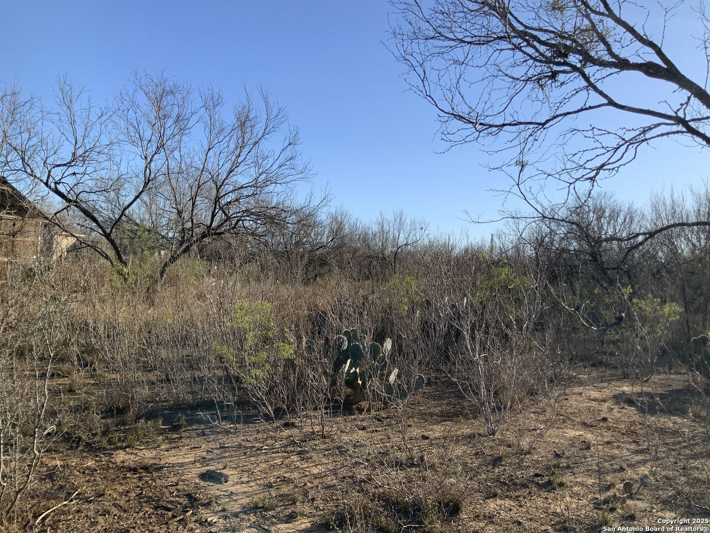 SV-49 Lot 2 Fm 1333 Poteet TX 78065
