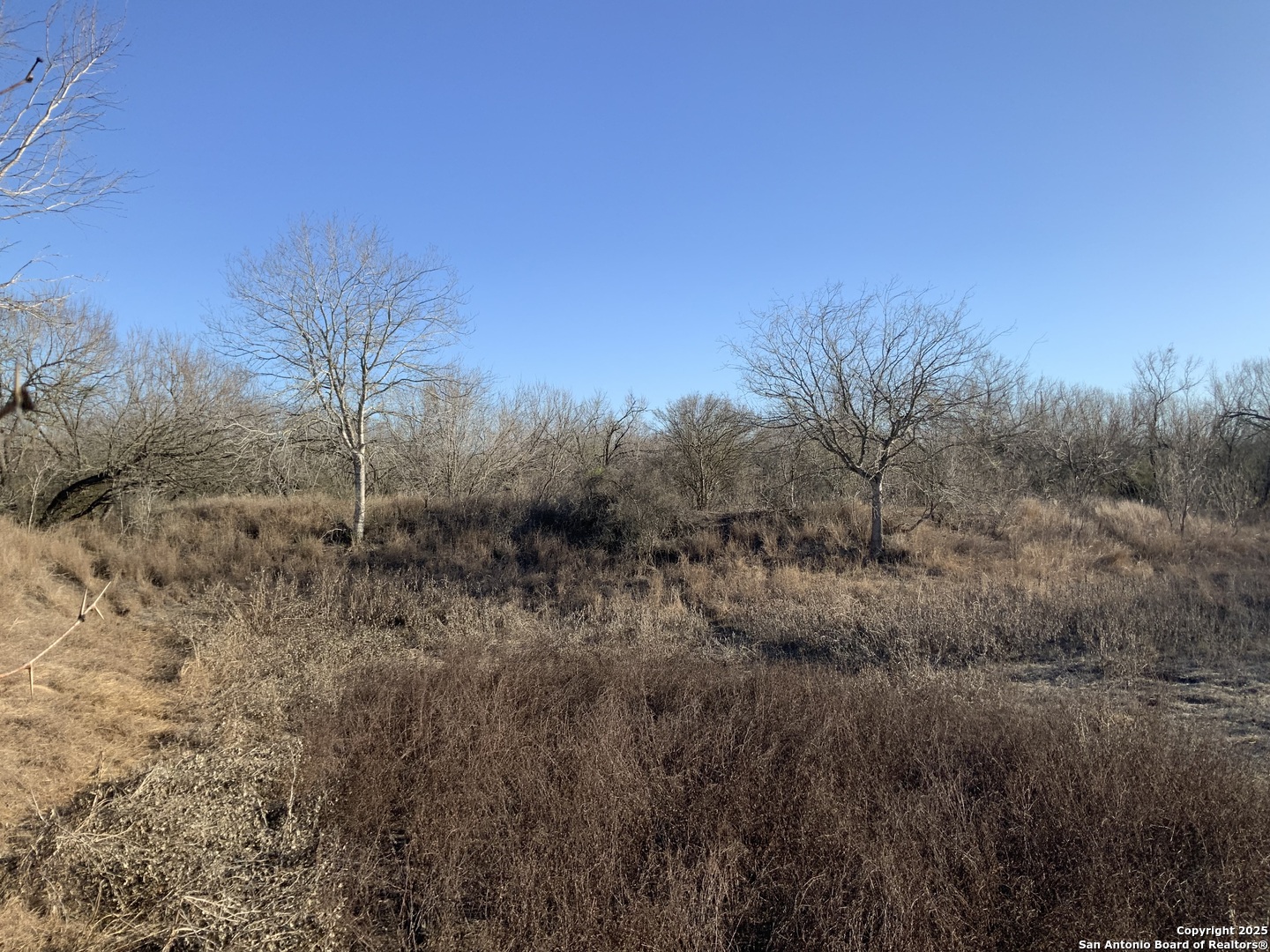 SV-49 Lot 2 Fm 1333 Poteet TX 78065
