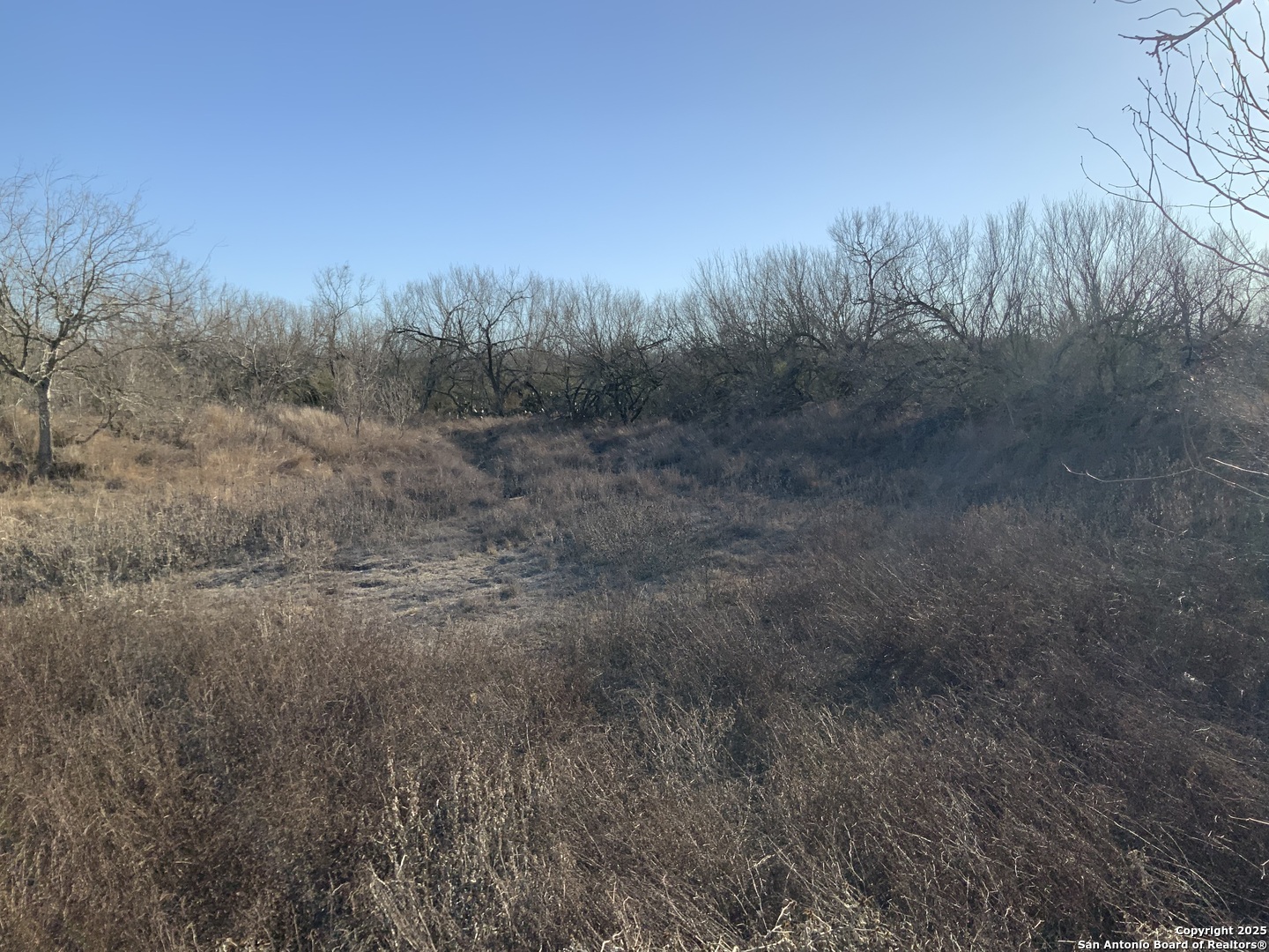 SV-49 Lot 2 Fm 1333 Poteet TX 78065