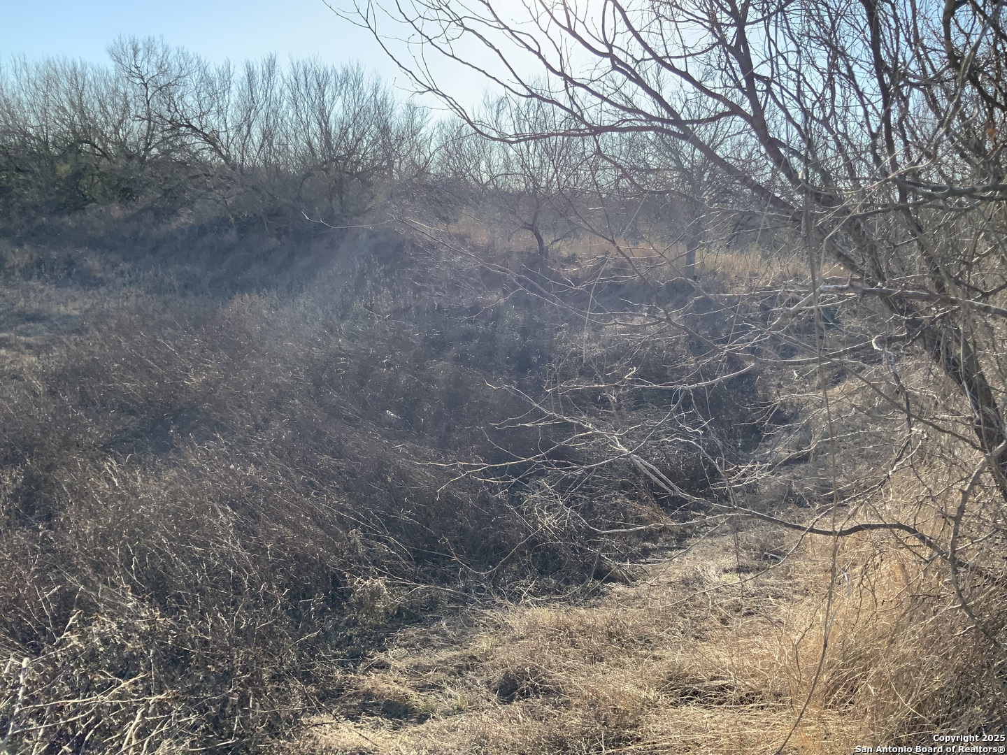 SV-49 Lot 2 Fm 1333 Poteet TX 78065