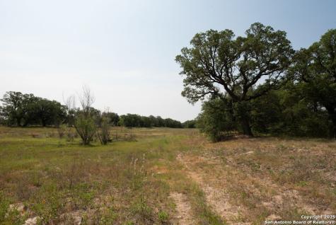 1003 County Road 334 Stockdale TX 78160
