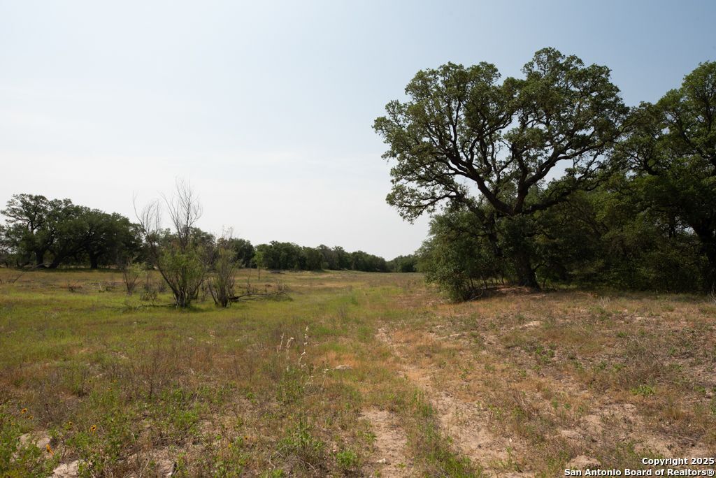 1003 County Road 334 Stockdale TX 78160
