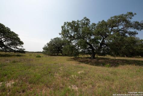 1003 County Road 334 Stockdale TX 78160