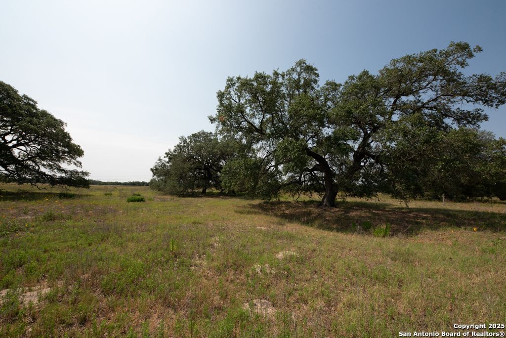 1003 County Road 334 Stockdale TX 78160