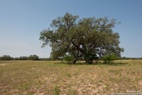 1003 County Road 334 Stockdale TX 78160