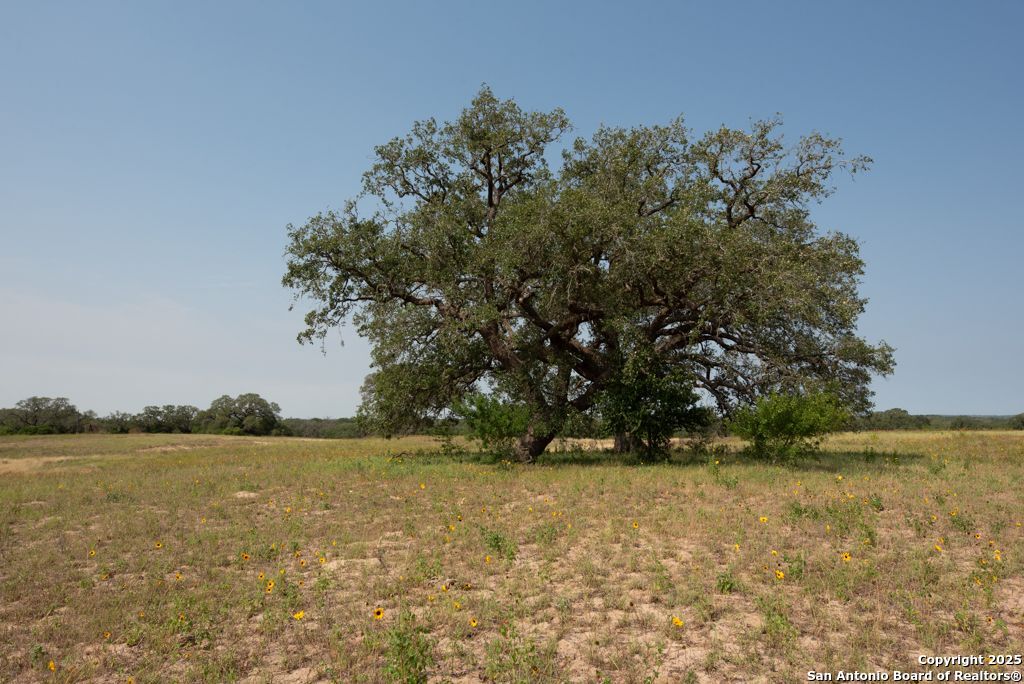 1003 County Road 334 Stockdale TX 78160