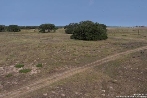 1003 County Road 334 Stockdale TX 78160