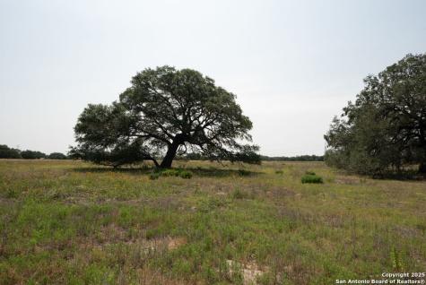 1003 County Road 334 Stockdale TX 78160