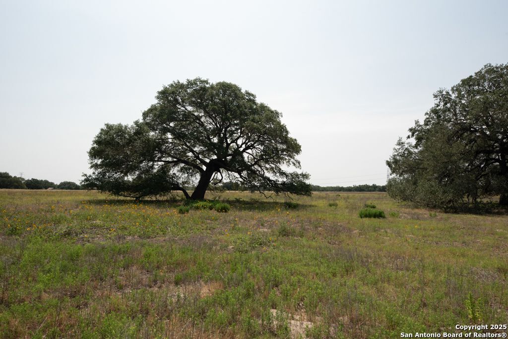 1003 County Road 334 Stockdale TX 78160