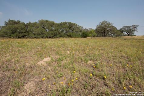 1003 County Road 334 Stockdale TX 78160