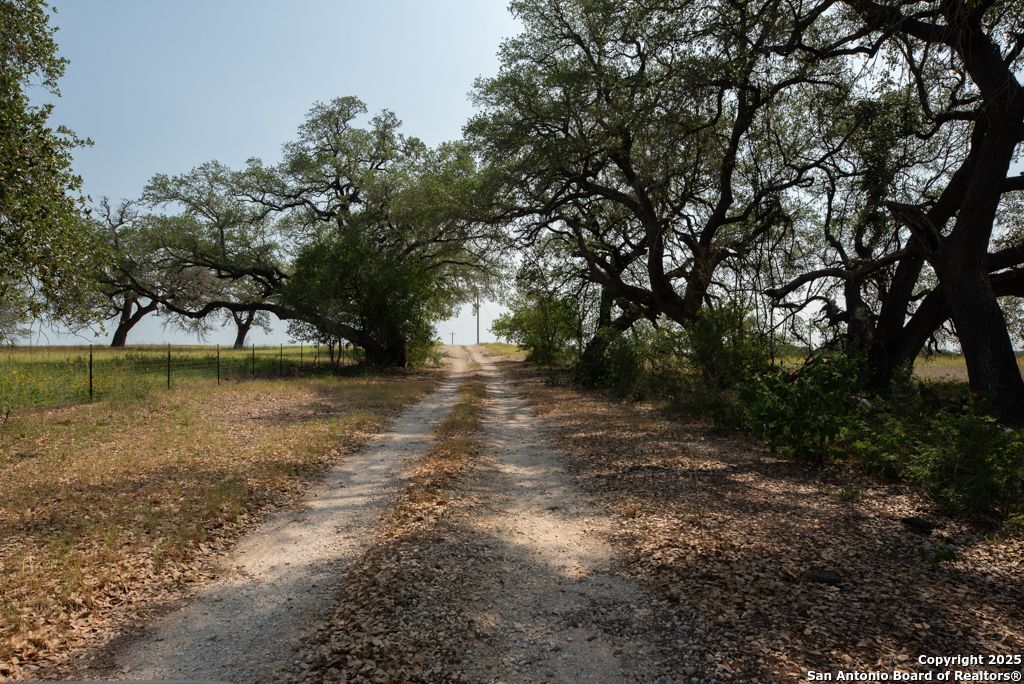 1003 County Road 334 Stockdale TX 78160