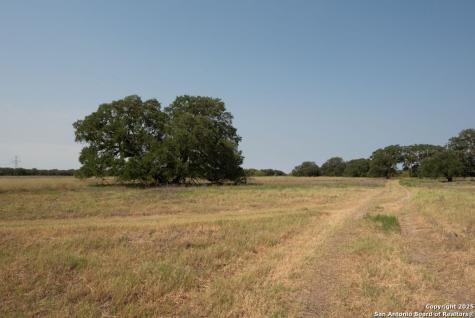 1003 County Road 334 Stockdale TX 78160