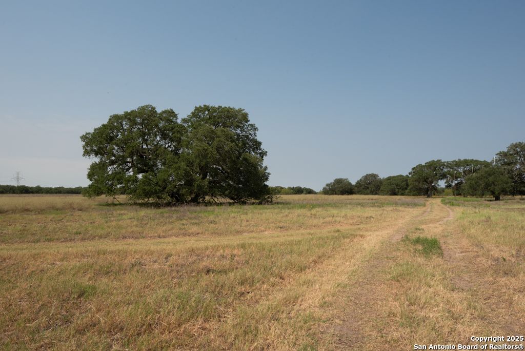 1003 County Road 334 Stockdale TX 78160