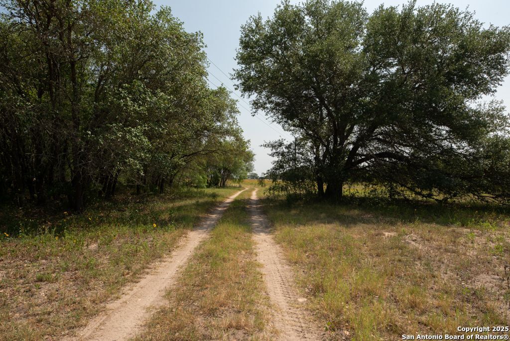 1003 County Road 334 Stockdale TX 78160