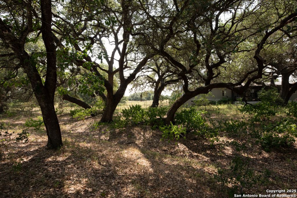 1003 County Road 334 Stockdale TX 78160
