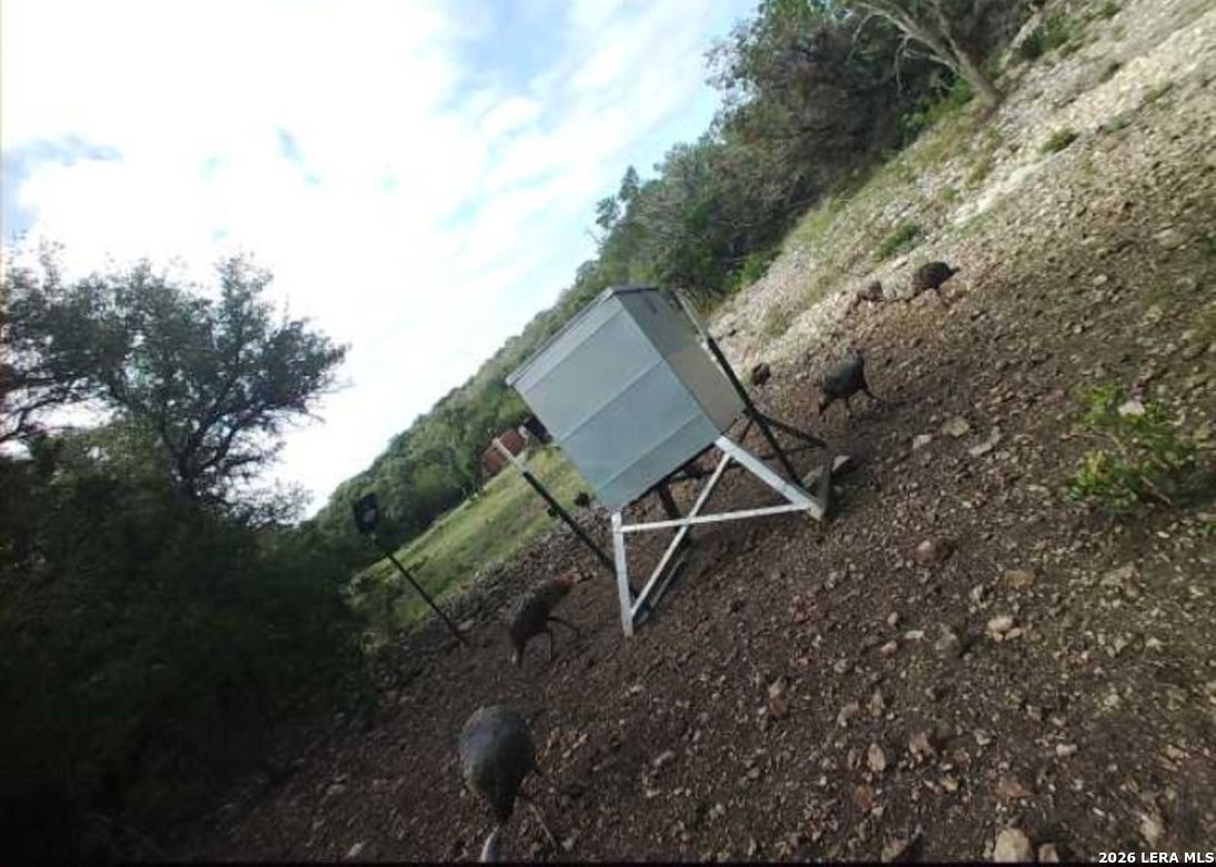 Tbd Sd 46071 Rocksprings TX 78880