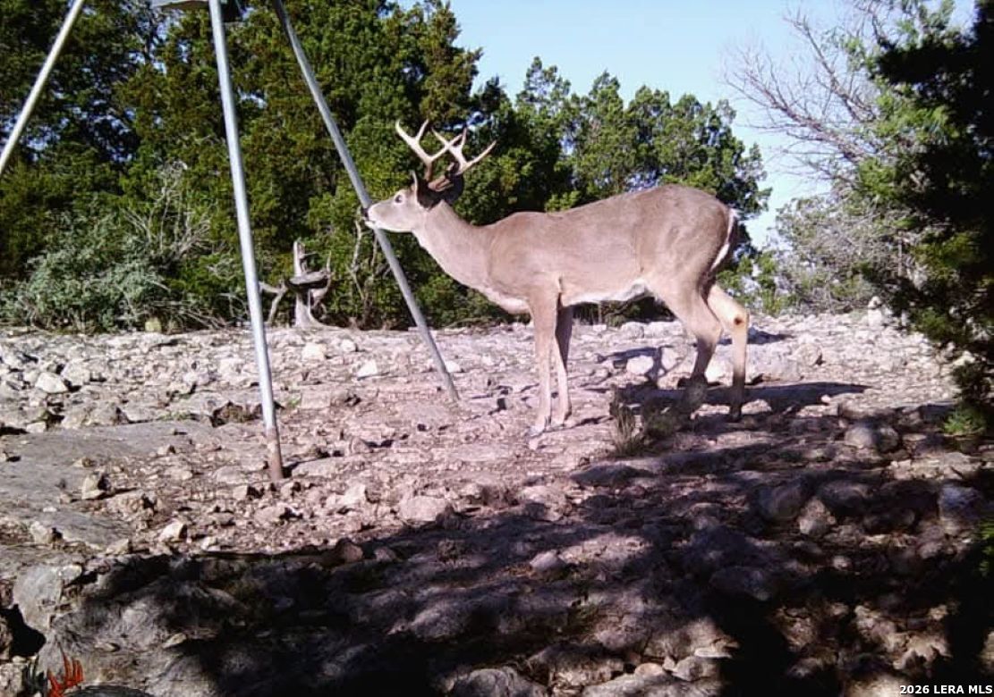 Tbd Sd 46071 Rocksprings TX 78880
