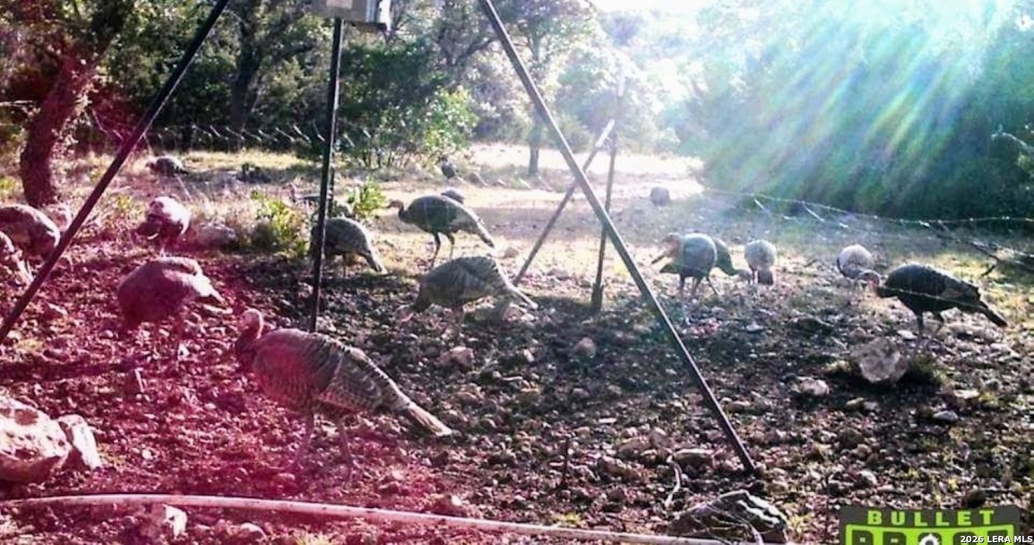 Tbd Sd 46071 Rocksprings TX 78880