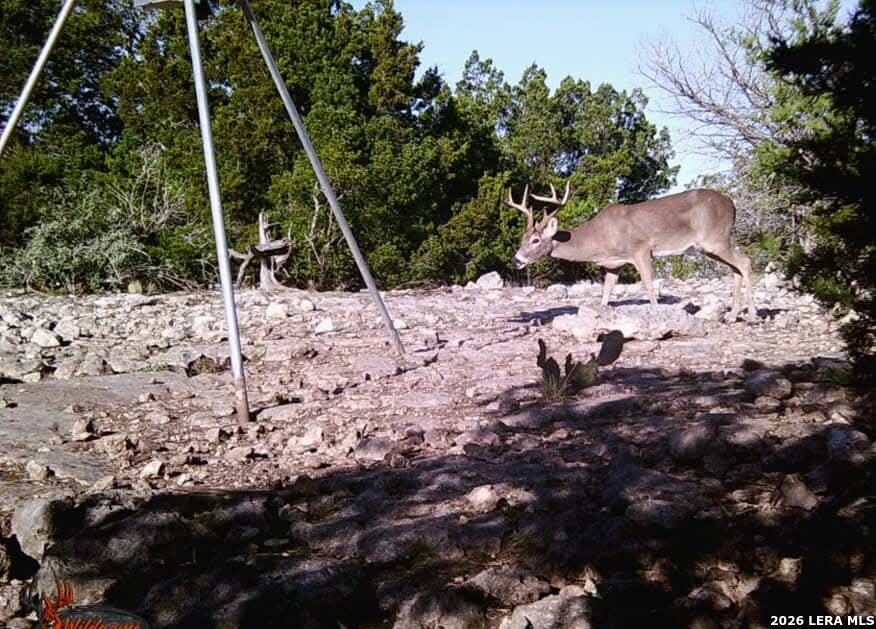 Tbd Sd 46071 Rocksprings TX 78880