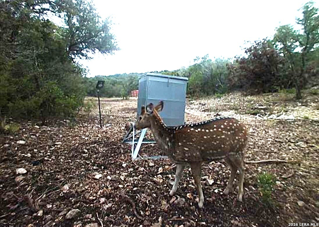 Tbd Sd 46071 Rocksprings TX 78880