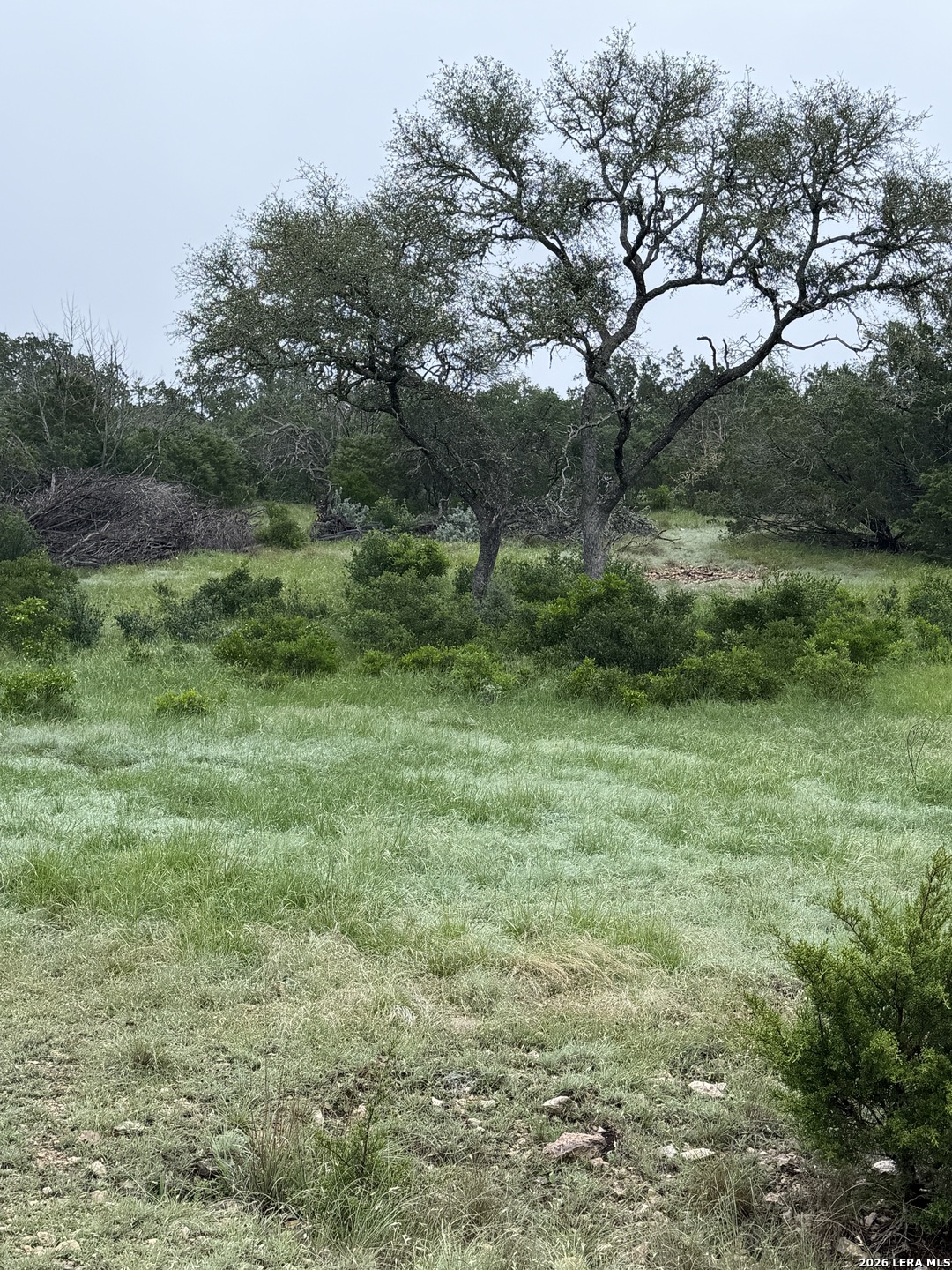 Tbd Sd 46071 Rocksprings TX 78880