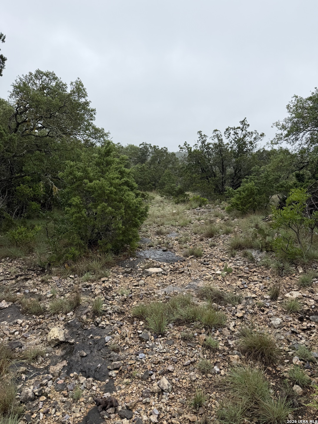 Tbd Sd 46071 Rocksprings TX 78880