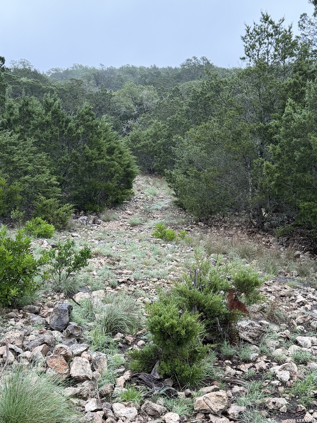 Tbd Sd 46071 Rocksprings TX 78880